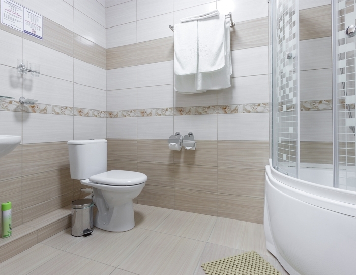 Стандарт 2-местный 1 категории (корпус №1) - Санаторий «Аврора» Белокуриха