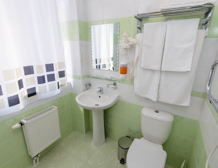 Студия 2-местный (корпус №1) - Санаторий «Аврора» Белокуриха